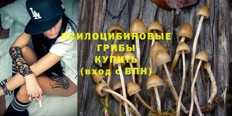 Галлюциногенные грибы Psilocybe Отрадная